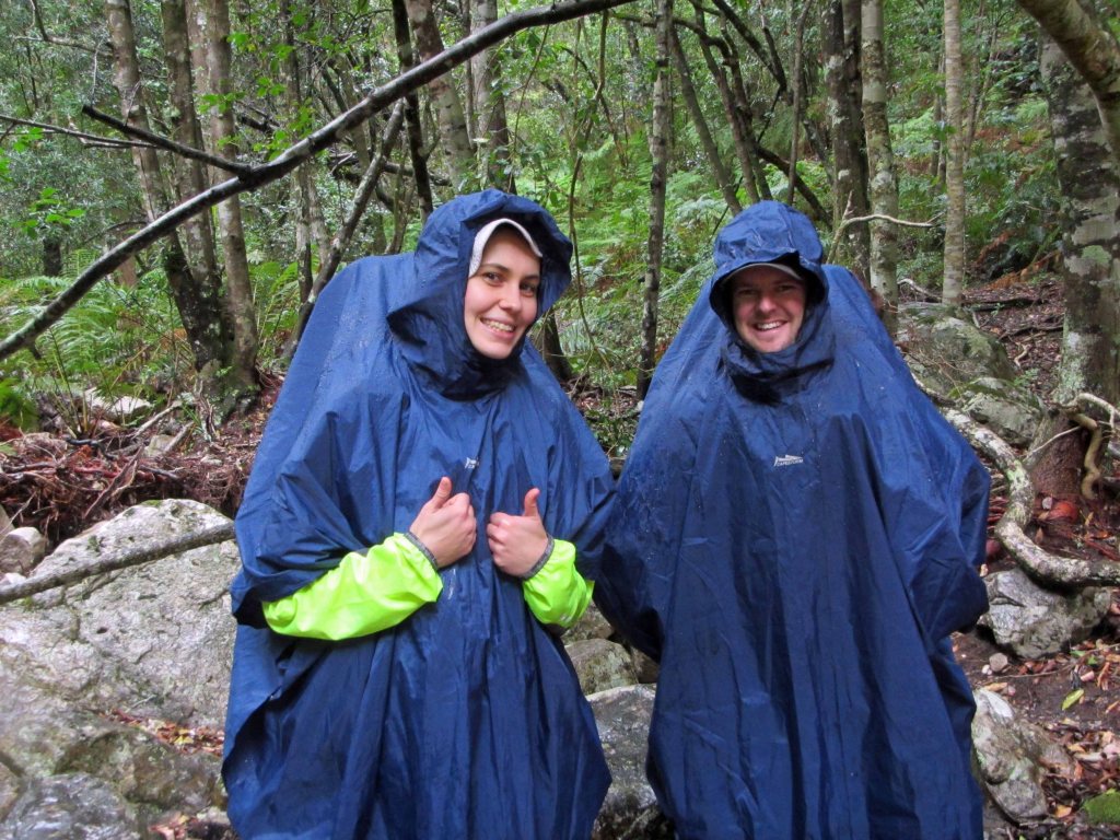 Protected by large rain ponchos. 