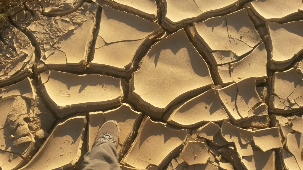 Mud cracks, with foot for scale, southern Africa, June 2015. 