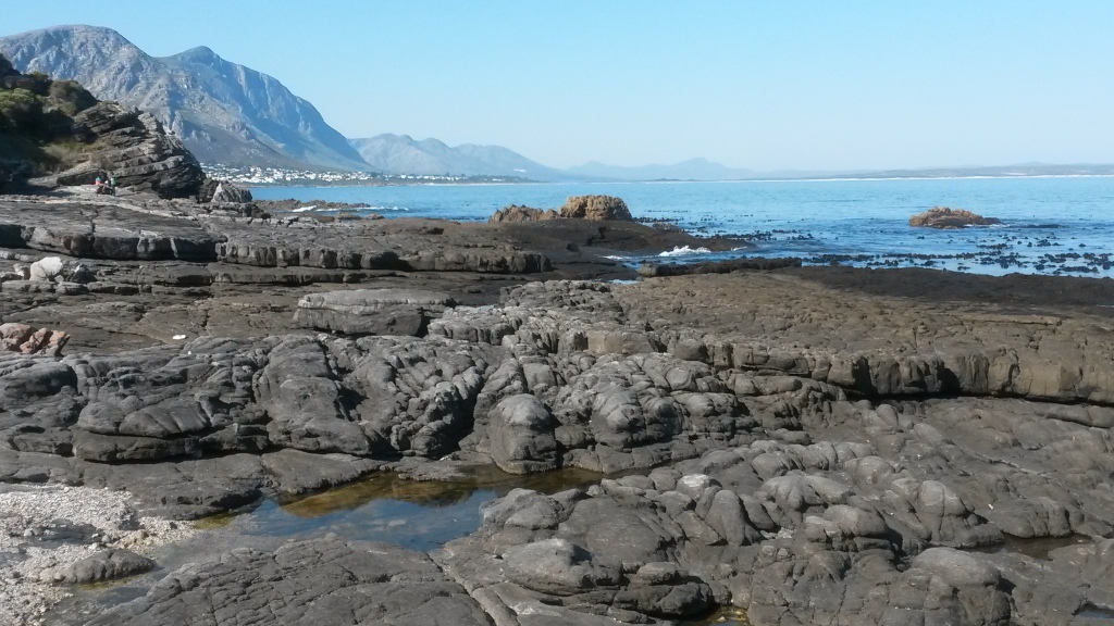 Malmesbury sediments by the beach, Hermanus, South Africa. 