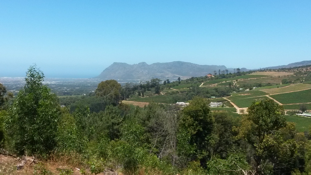 A view of some of Cape Town's winelands. Picture taken December 2013. 