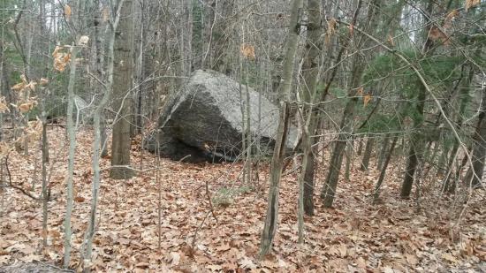 A glacial erratic in the woods near the Mervine Family Cabin in New Hampshire. 