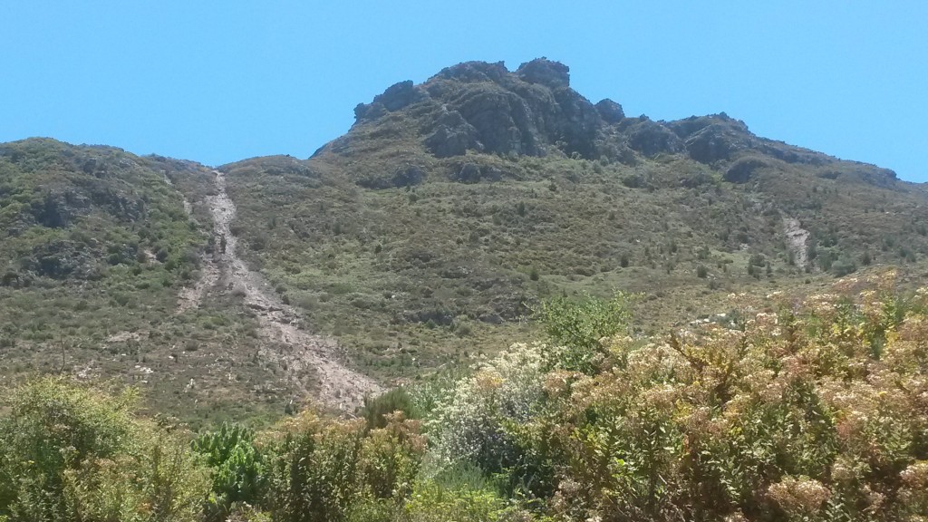 Two debris slides on Table Mountain. Picture taken December 29th, 2013. 