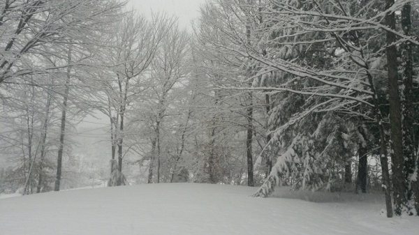 Snowy scenery, New Hampshire. 