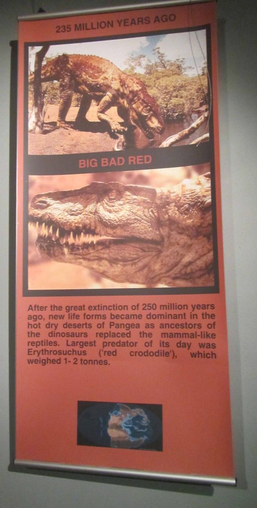Informational sign for 235 million years ago... the time of the T-rex! 