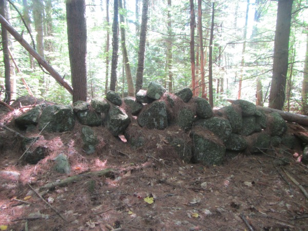 Fox Forest #15. Another stone wall. 