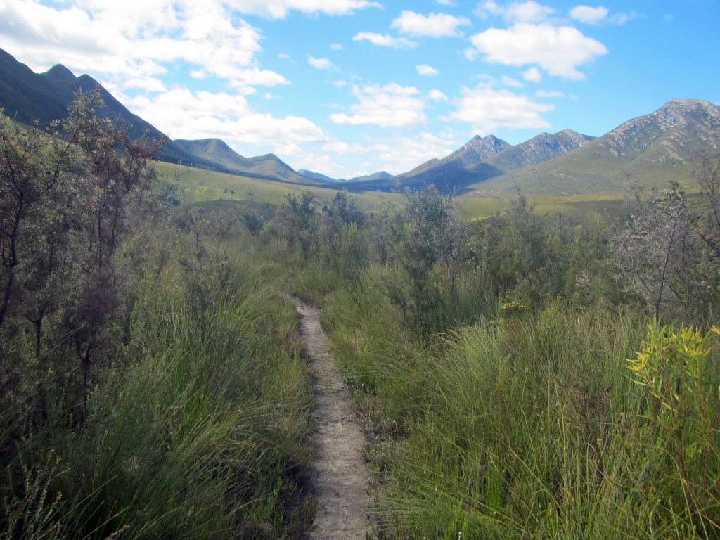 Another angle on the beautiful view while walking through the fynbos. 