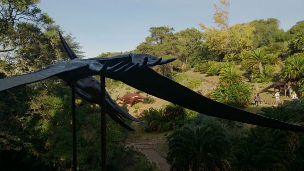 Kirstenbosch Dinosaur #5. 