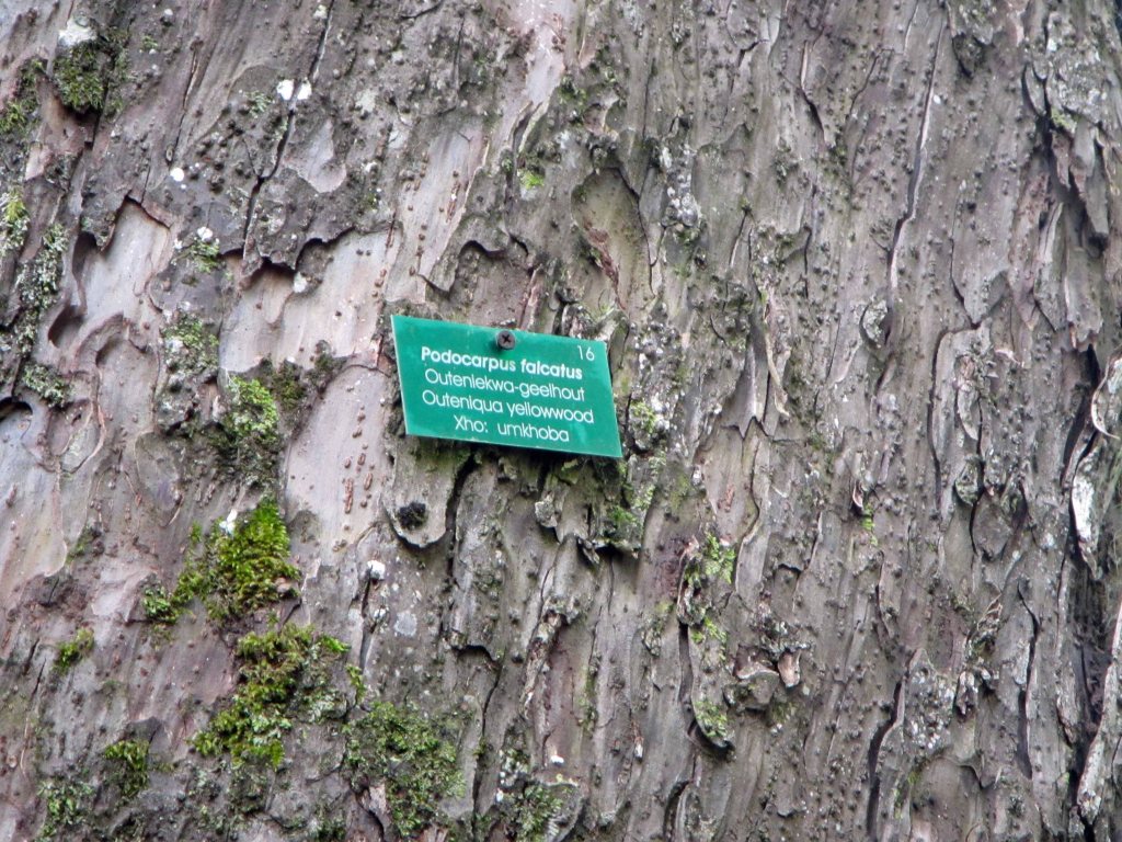 Many of the trees had identification signs. 