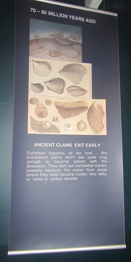 Informational sign for 70 million years ago... there are many clams! 