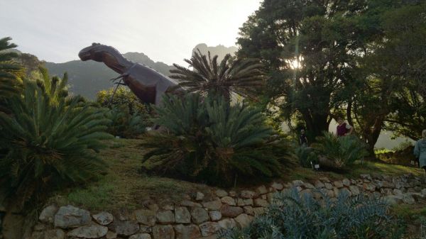 Dinosaur sculpture in the background, cycads in the foreground. Kirstenbosch Gardens, 2015. 