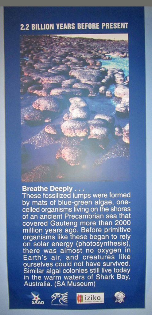 Informational sign about the stromatolite fossils on display at the SAAO Visitor Centre. These stromatolites are from Gauteng (a province of South Africa; the city of Johannesburg is located in this province). 