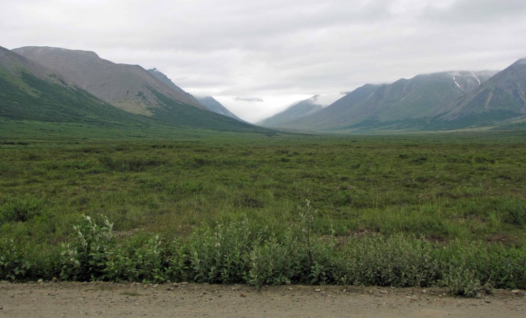 A U-shaped glacial valley on the Seward Peninsula outside of Nome, Alaska. Picture taken Summer 2013. 