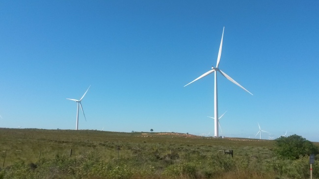 A wind farm near Jeffrey's Bay, South Africa. 