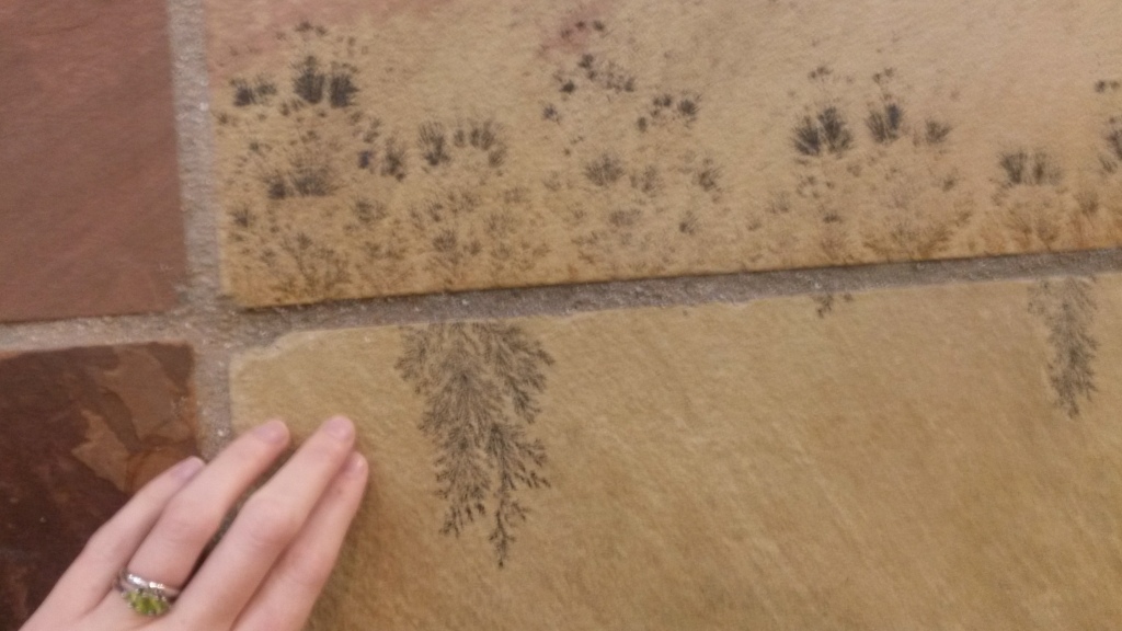 Another view of the pretty dendritic minerals, with my hand for scale. 