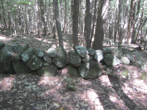 Fox Forest #7. A closer view of the stone wall. 