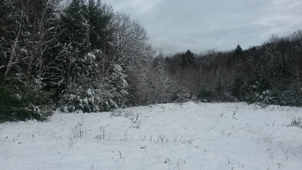 Snowy New Hampshire scenery, November 2014. 