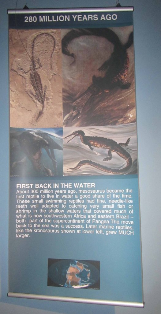 Informational sign for 280 million years ago