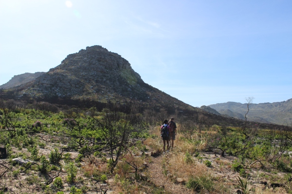 Silvermine #2. Hiking amongst burned vegetation, with some green below. 