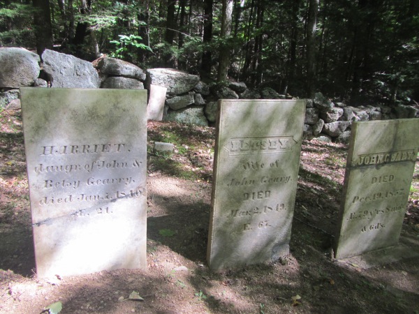 Fox Forest #11. Cemetery headstones. 