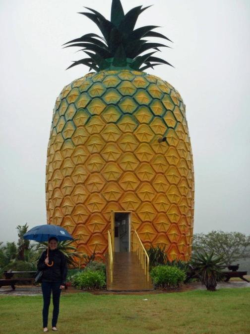 A very big pineapple in Bathurst, South Africa (near Grahamstown). Picture taken April 2013. 