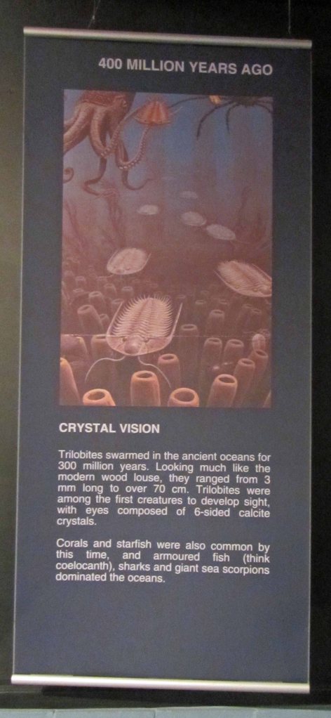 Informational sign about fossils 400 million years ago