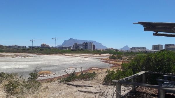 A salt pan on Intaka Island, with Table Mountain in the background.