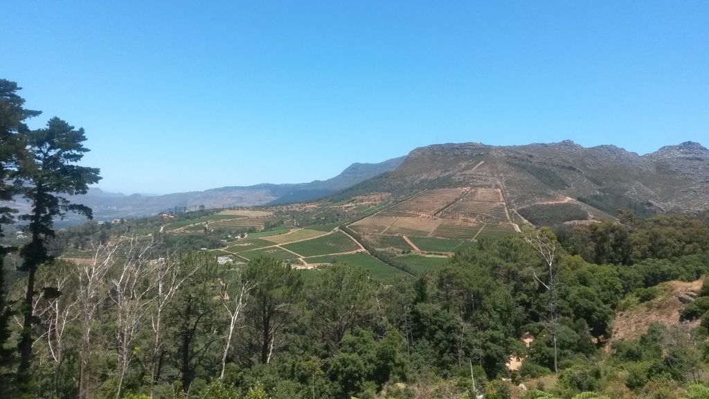 A view from the Constantia Nek Contour Path, Cape Town, South Africa. Picture taken December 2013. 