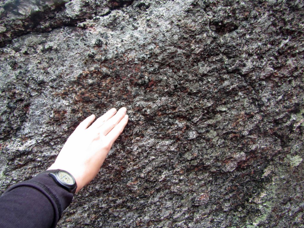 A close-up view of the angular erratic boulder in the previous picture. 